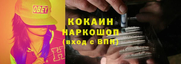 сатива Кодинск