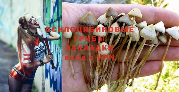синтетический гашиш Костерёво