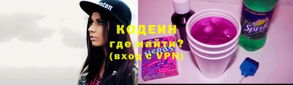 гашик Мегион