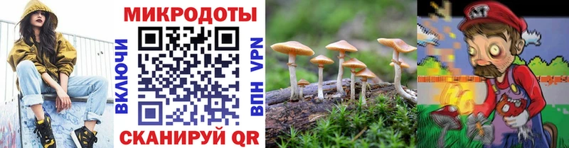 где продают наркотики Нерехта Псилоцибиновые грибы мухоморы